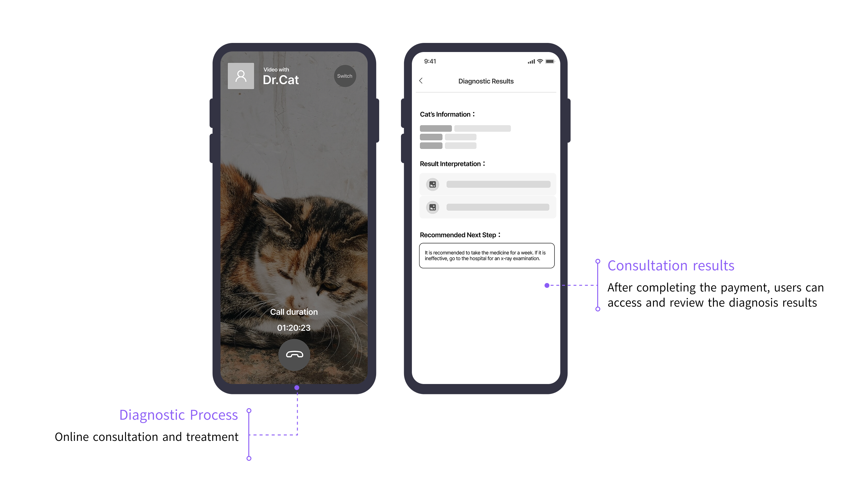 Video consultation screen and diagnostic results page