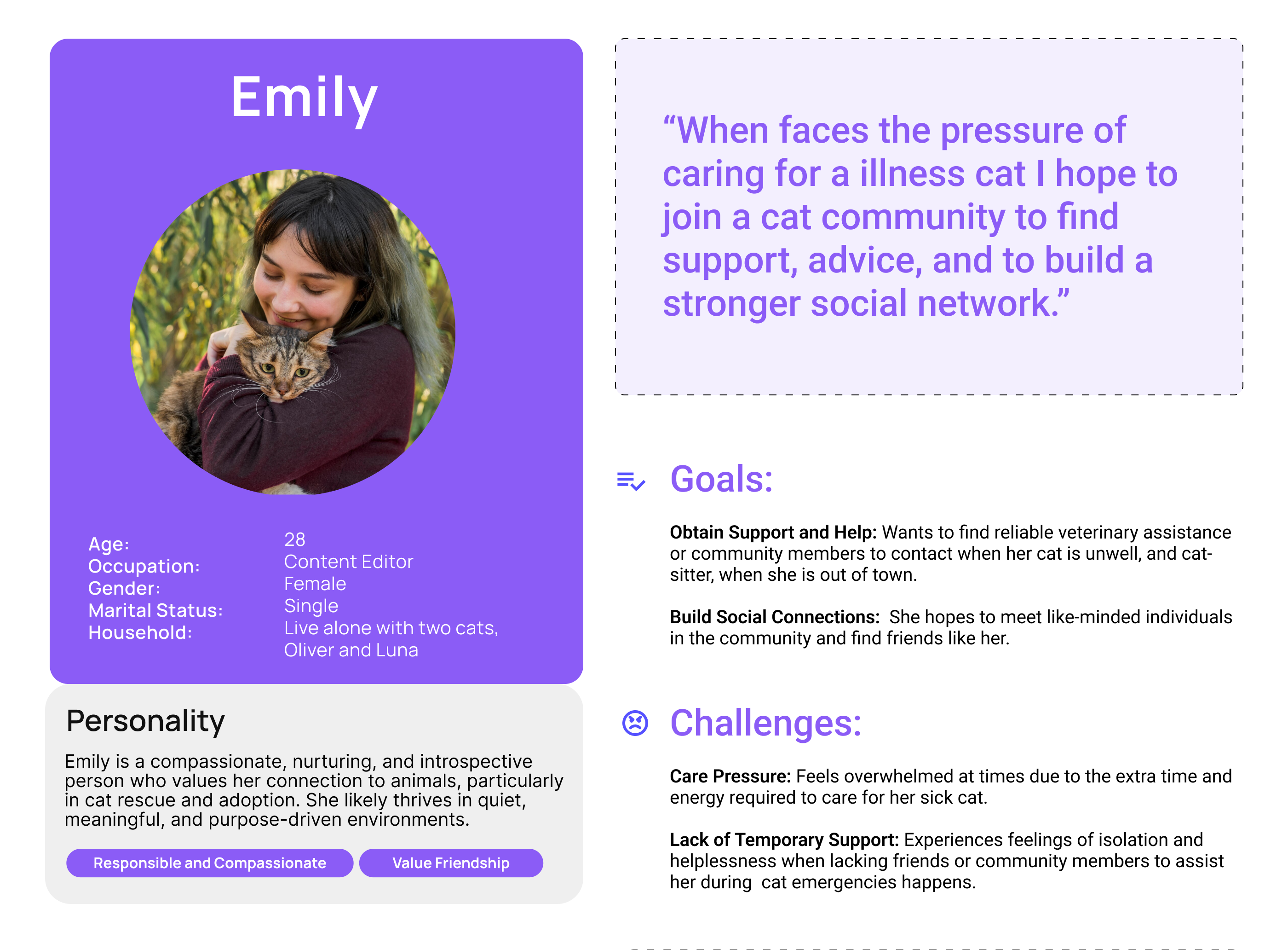 Persona: Emily, seeks emotional support and community